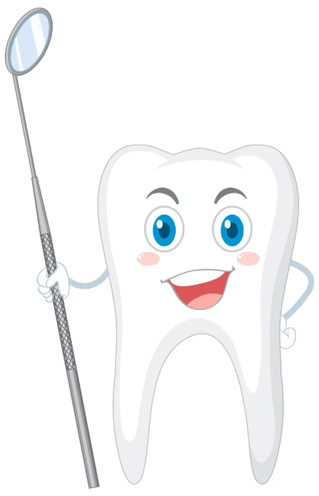 RootCanal tooth