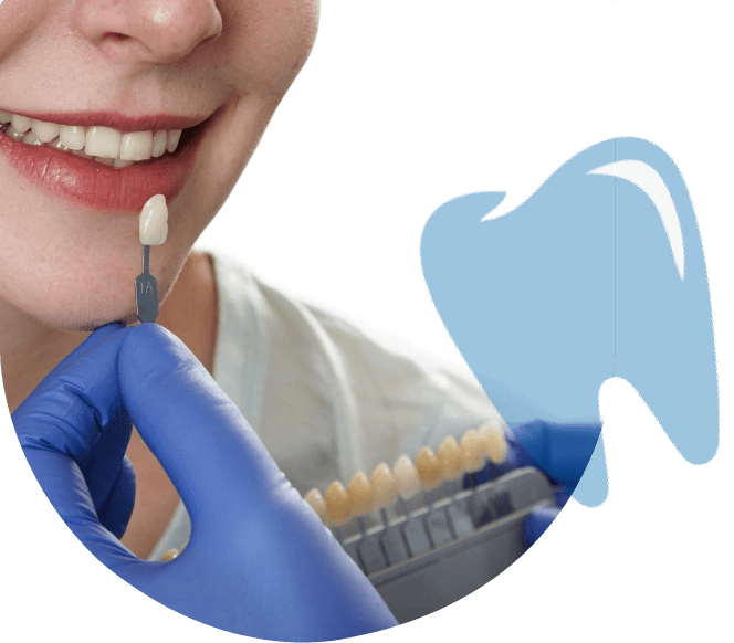 what is dental